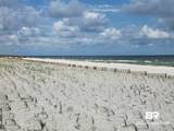 29040 Perdido Beach Boulevard - Photo 14