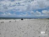 29040 Perdido Beach Boulevard - Photo 16