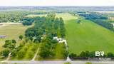 20184 County Road 9 - Photo 54