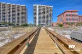27120 Perdido Beach Boulevard - Photo 16