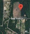 25615 Deer Track - Photo 3