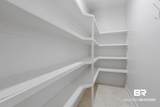 27838 Annabelle Lane - Photo 46