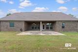 27838 Annabelle Lane - Photo 50