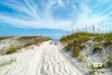 29531 Perdido Beach - Photo 62