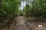 24958 County Road 71 - Photo 17