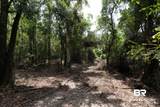 24958 County Road 71 - Photo 20