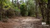 24958 County Road 71 - Photo 7