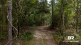 24958 County Road 71 - Photo 8
