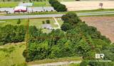 12704 Foley Beach Expressway - Photo 4