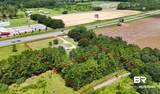 12704 Foley Beach Expressway - Photo 5