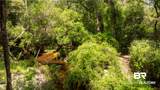 1113 Robert Williams Drive - Photo 24
