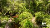 1113 Robert Williams Drive - Photo 34