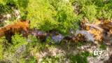 1113 Robert Williams Drive - Photo 35