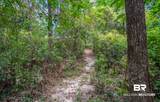 1113 Robert Williams Drive - Photo 37