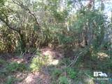 0 Cater Lee Way - Photo 4