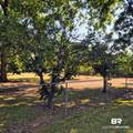 138 County Road 34 - Photo 43