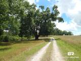 343 Old Sparta Road - Photo 5