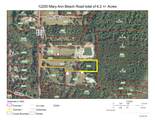 12200 Mary Ann Beach Road - Photo 10