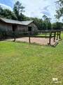 12200 Mary Ann Beach Road - Photo 8