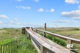 27070 Perdido Beach Boulevard - Photo 9