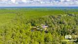 16401 Durban Fork Road - Photo 5