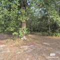 319 Sherwood Drive - Photo 17