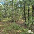 319 Sherwood Drive - Photo 22