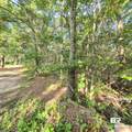 319 Sherwood Drive - Photo 23