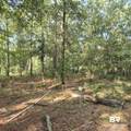 319 Sherwood Drive - Photo 25