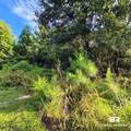 319 Sherwood Drive - Photo 27