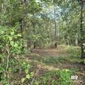 319 Sherwood Drive - Photo 28