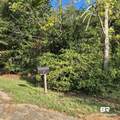 319 Sherwood Drive - Photo 38