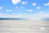 25020 Perdido Beach Boulevard - Photo 41