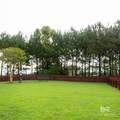 361 Portofino Loop - Photo 22