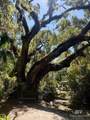 150 Narvaez Street - Photo 55