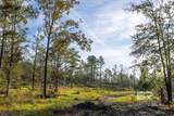 0 Whitehouse Fork Road - Photo 11