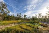 0 Whitehouse Fork Road - Photo 16