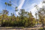 0 Whitehouse Fork Road - Photo 6