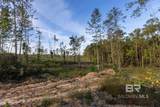 0 Whitehouse Fork Road - Photo 10