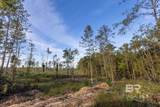 0 Whitehouse Fork Road - Photo 11