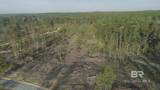 0 Whitehouse Fork Road - Photo 13