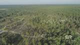 0 Whitehouse Fork Road - Photo 14