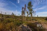 0 Whitehouse Fork Road - Photo 20