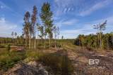 0 Whitehouse Fork Road - Photo 21