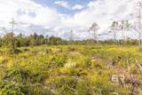 0 Whitehouse Fork Road - Photo 5