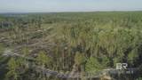 0 Whitehouse Fork Road - Photo 7