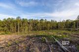 0 Whitehouse Fork Road - Photo 8