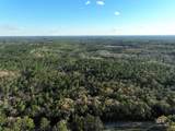 0 Dogwood Fork Road - Photo 3