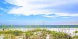 1380 Highway 180 - Photo 58