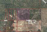 28519 Kavek Road - Photo 2